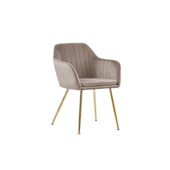 Chaise CANVAS pied gold (Disponible en plusieurs coloris)
